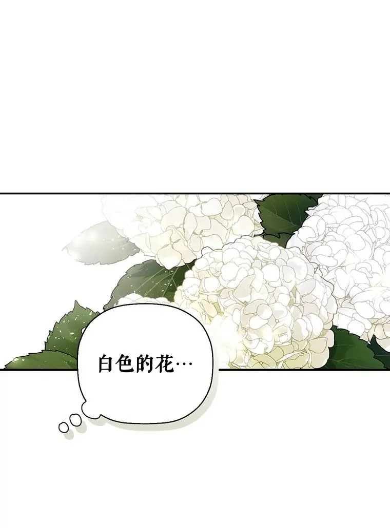 22.采草药 第12页