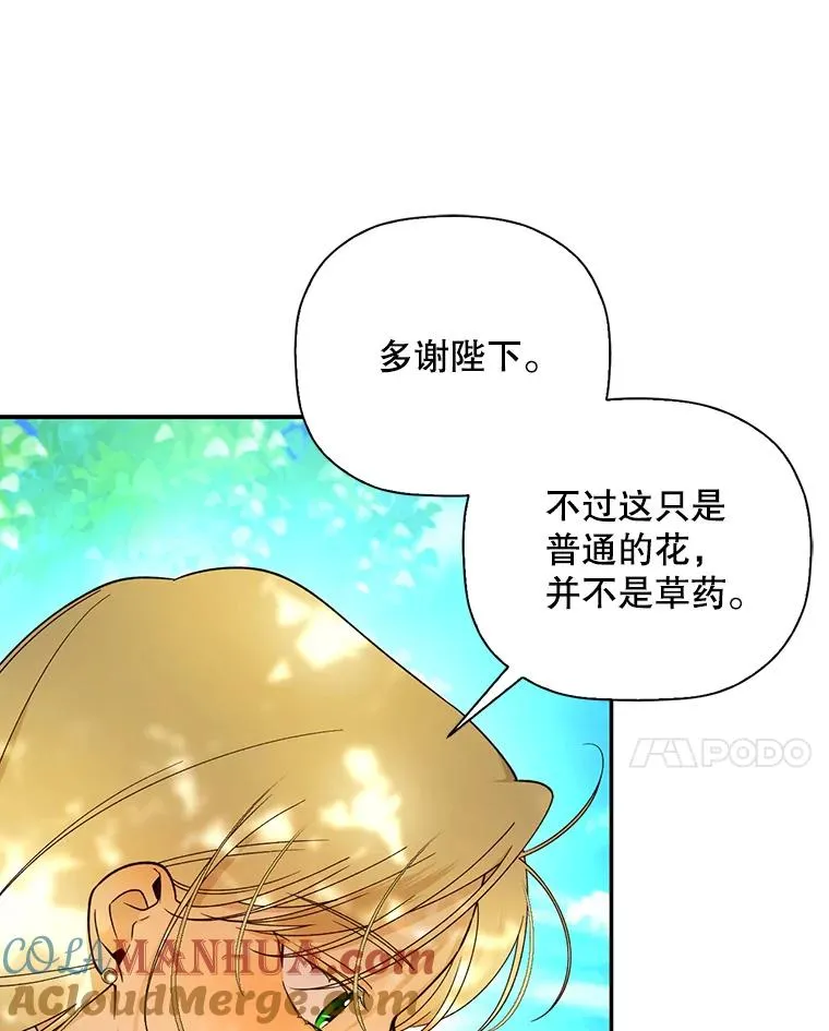 22.采草药 第13页