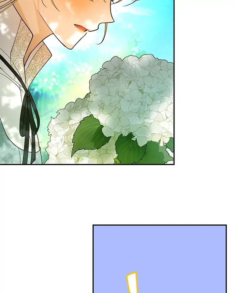 22.采草药 第14页