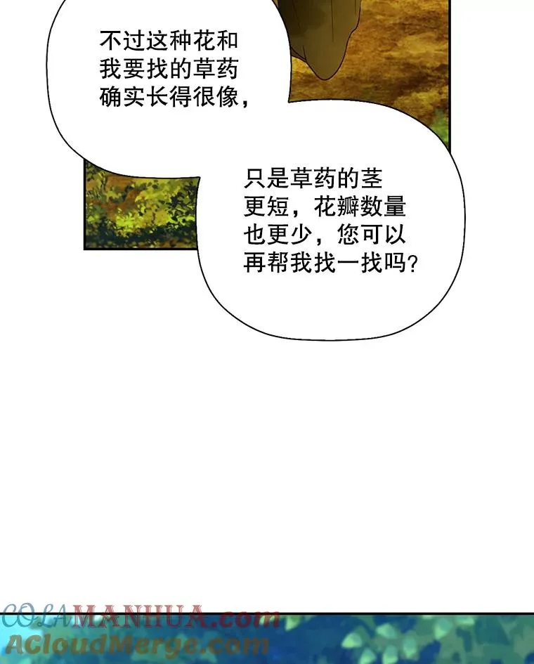 22.采草药 第19页
