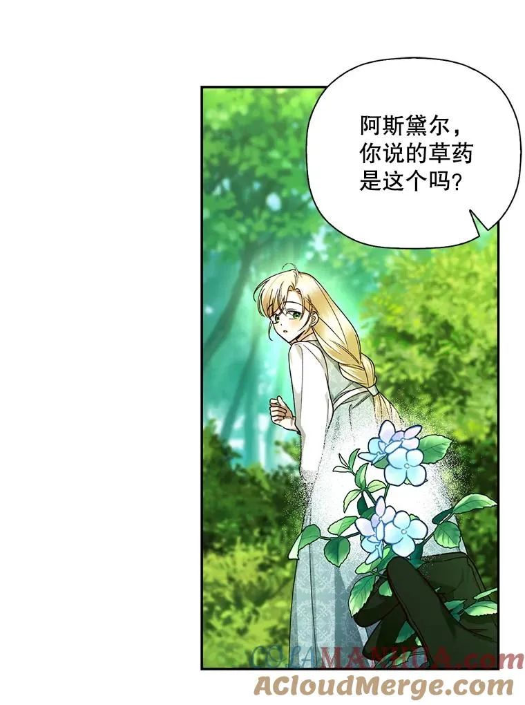 22.采草药 第25页