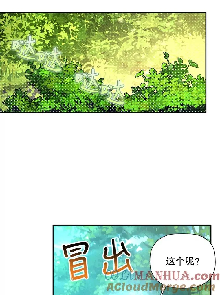 22.采草药 第28页