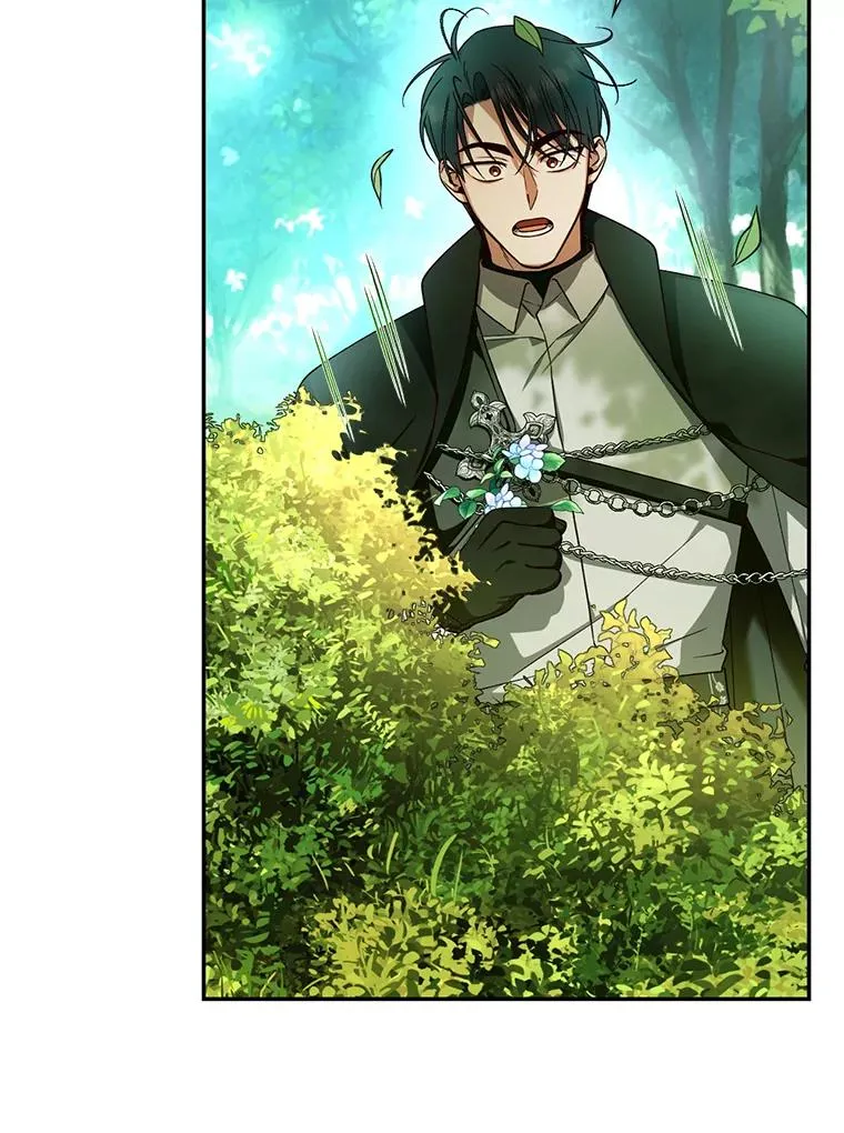 22.采草药 第29页
