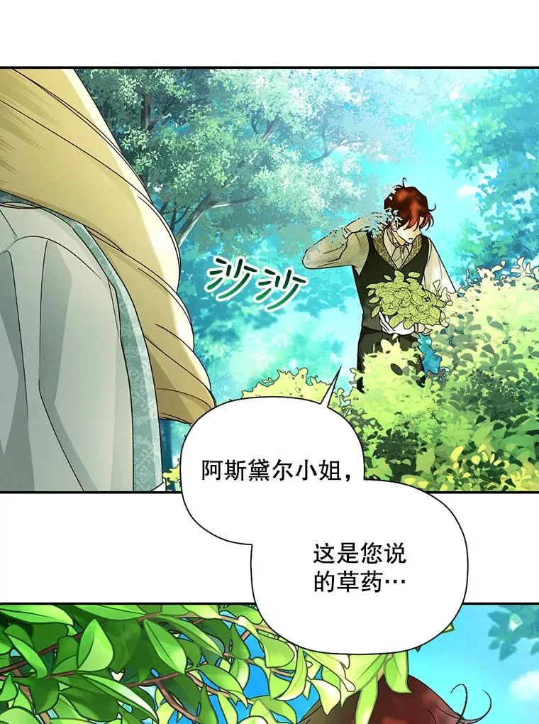 22.采草药 第33页