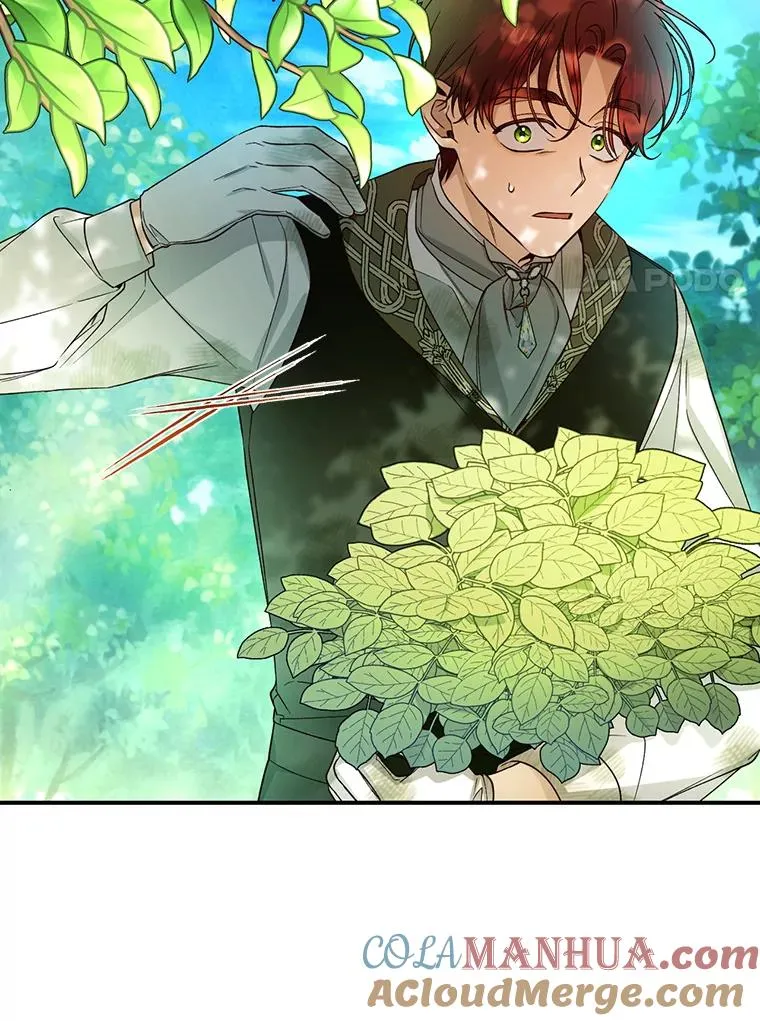 22.采草药 第34页