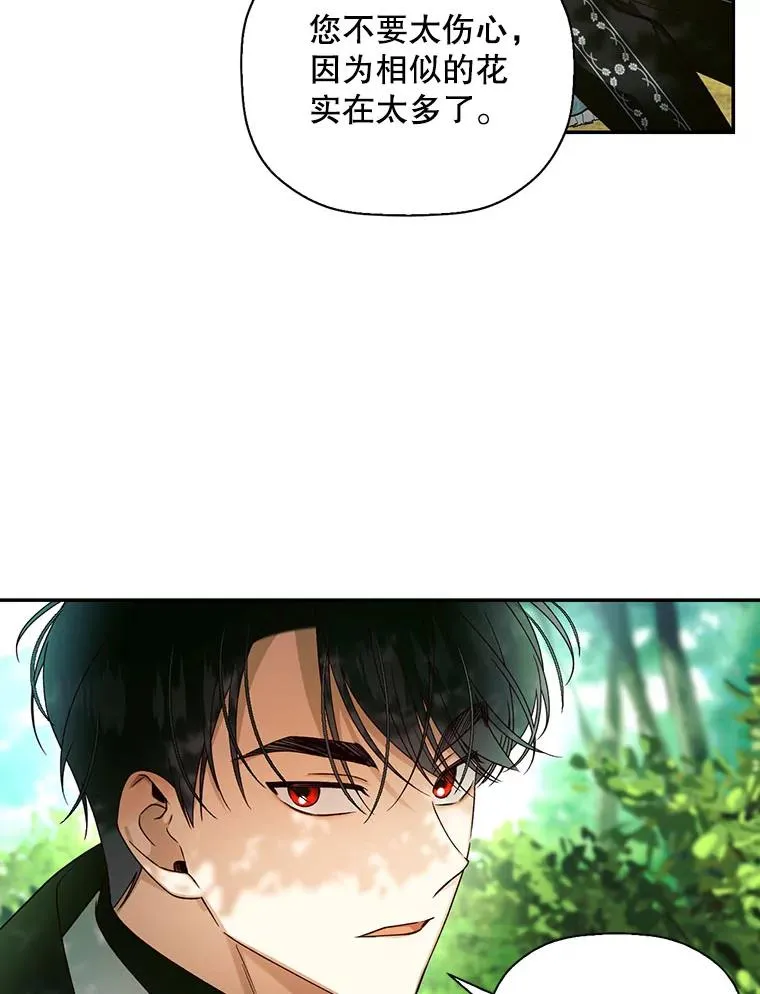 22.采草药 第38页