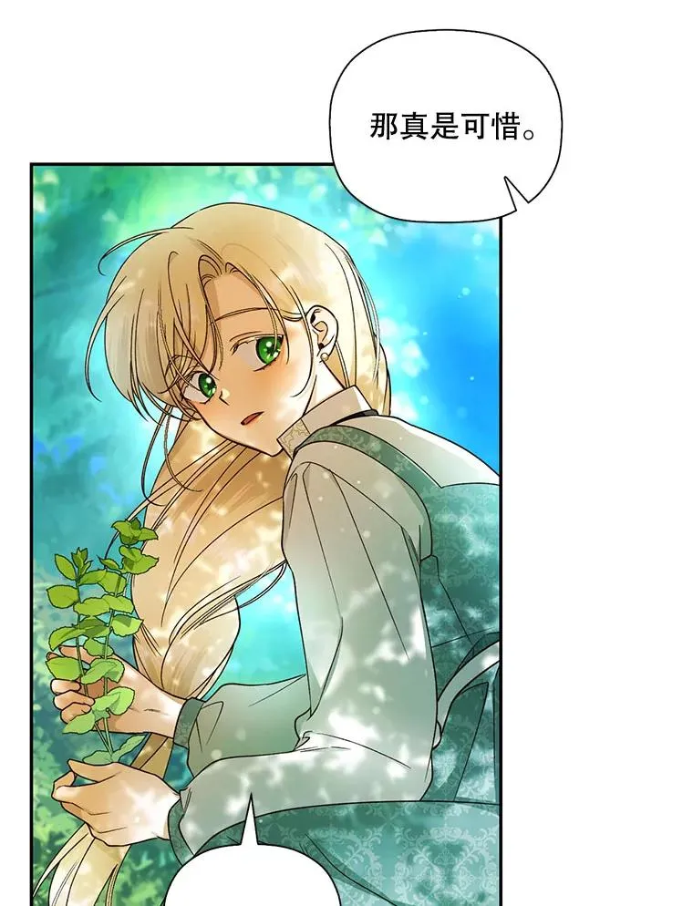 22.采草药 第41页