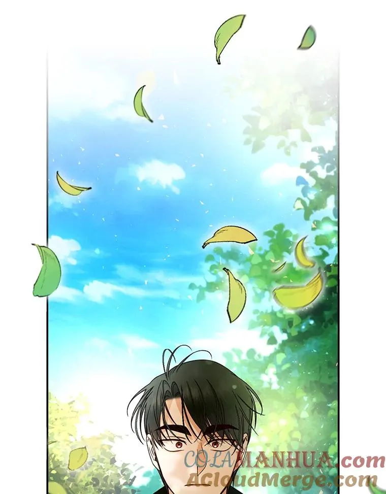 22.采草药 第46页