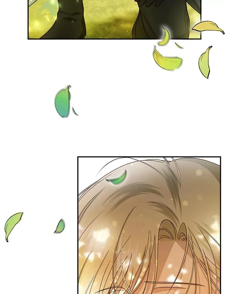 22.采草药 第48页