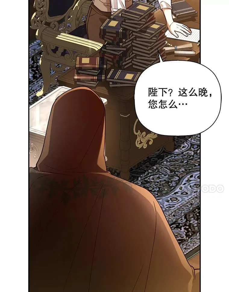 49.露出马脚 第104页