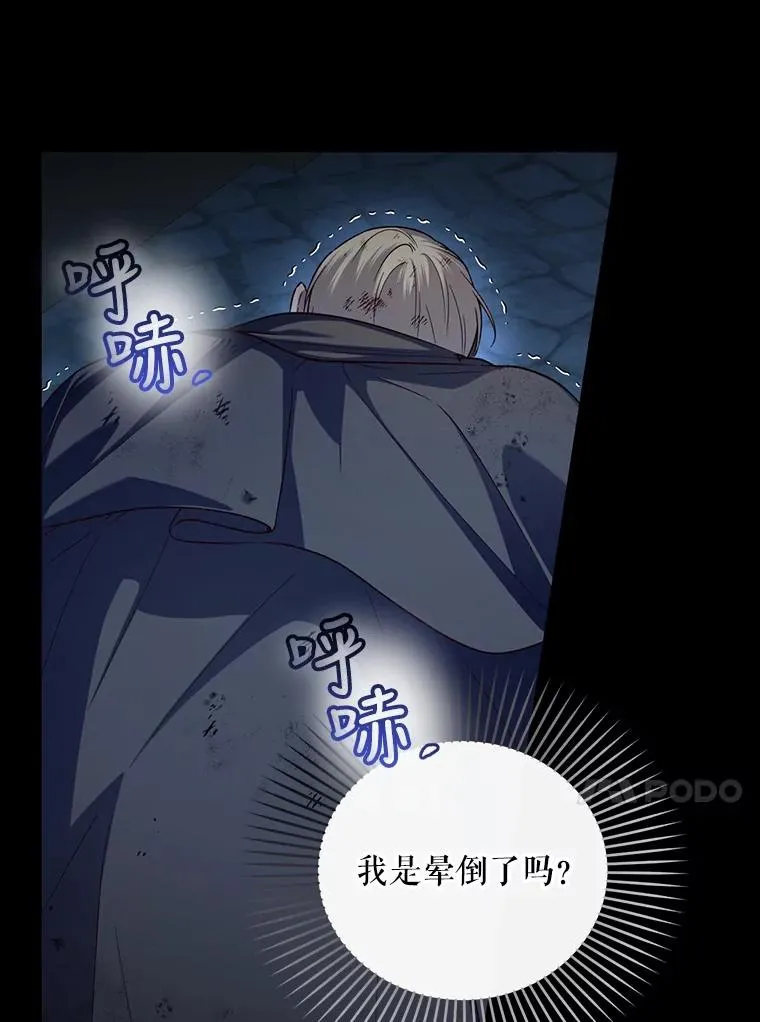 63.决心 第26页