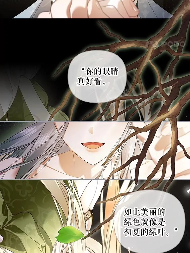 80.反转 第43页