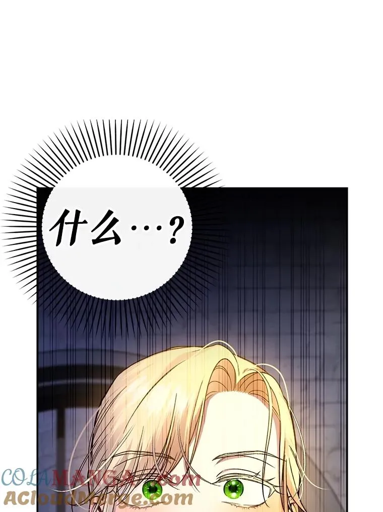 95.母亲的日记 第65页