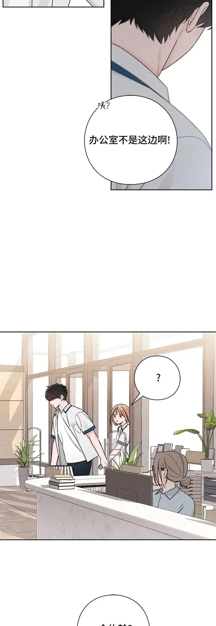 第52话 第41页