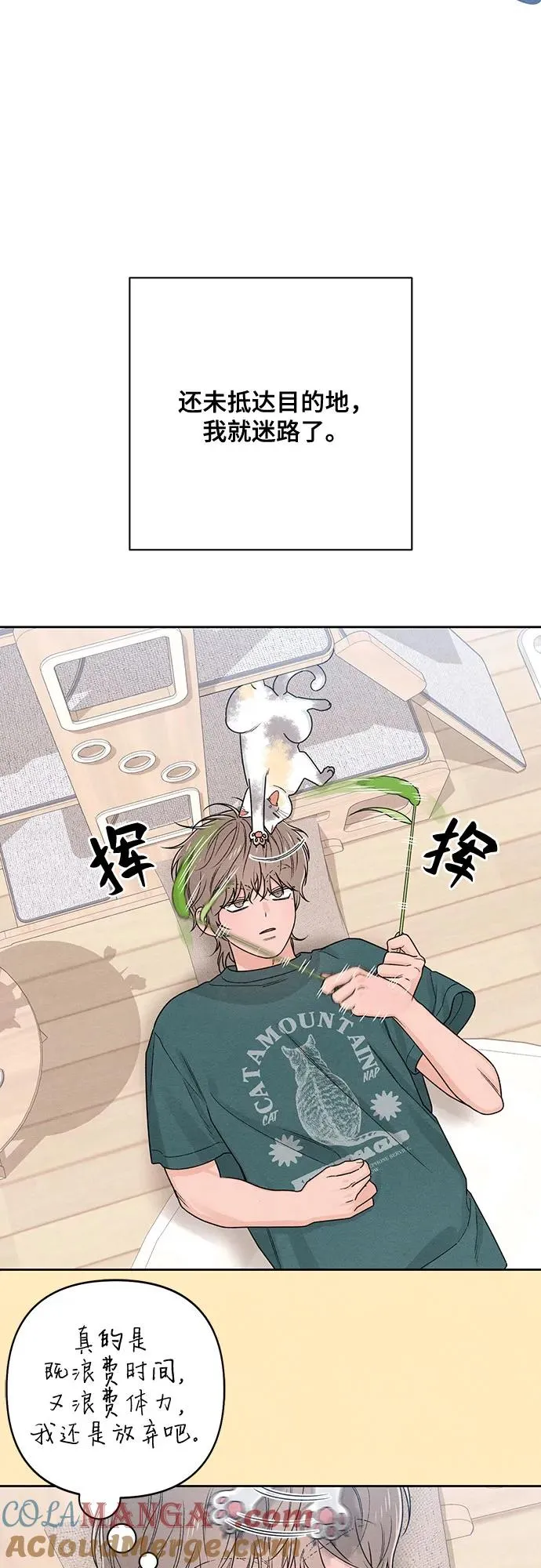 第76话 第31页