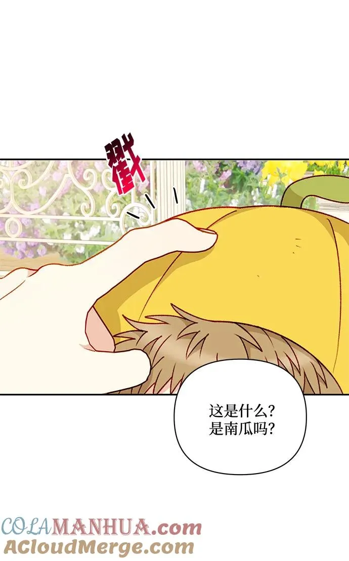 第62话 第13页