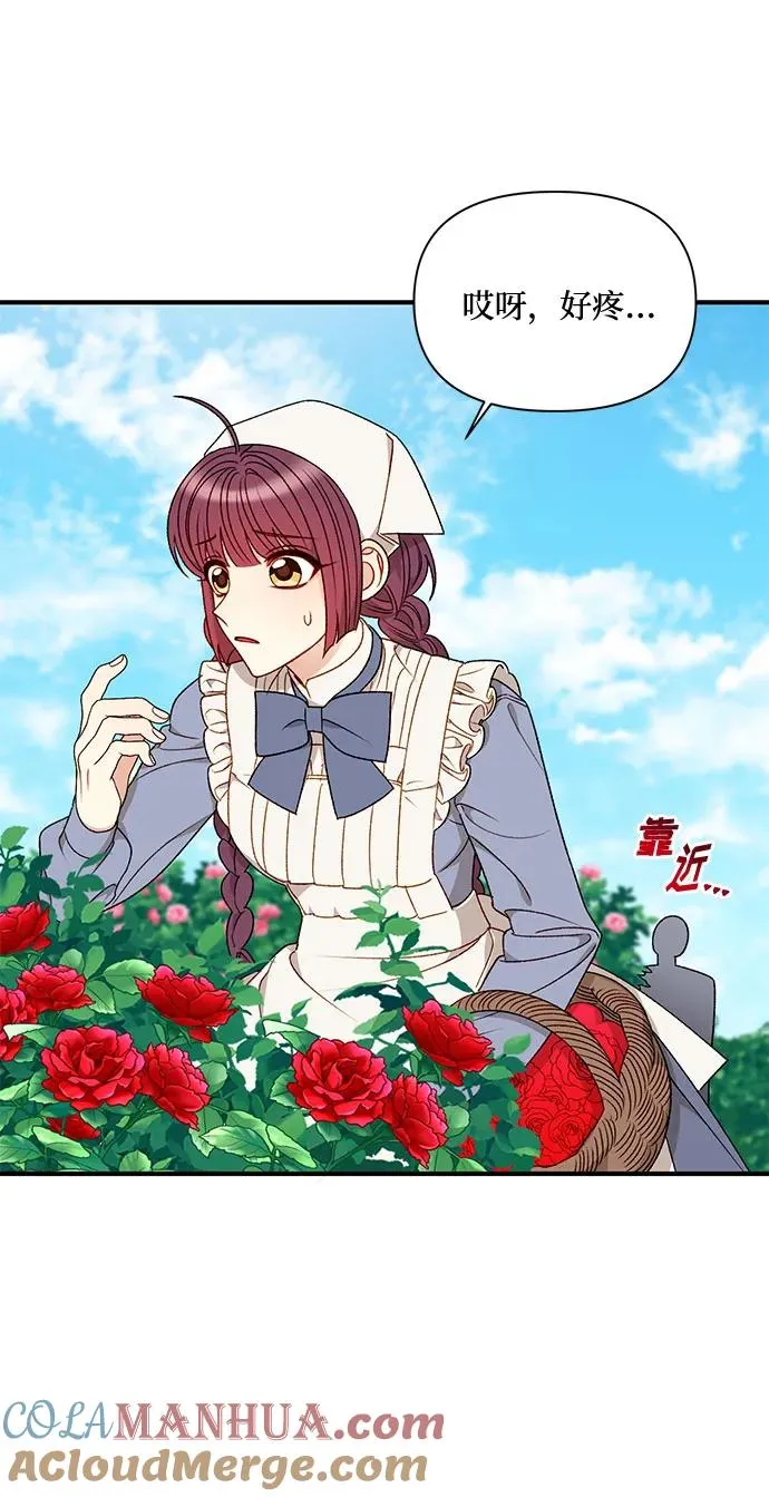 第66话 第43页