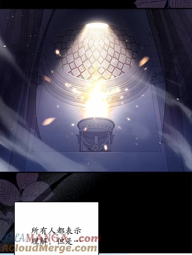 0.神谕的主人 第19页