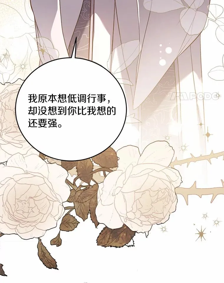 20.教皇登场 第40页