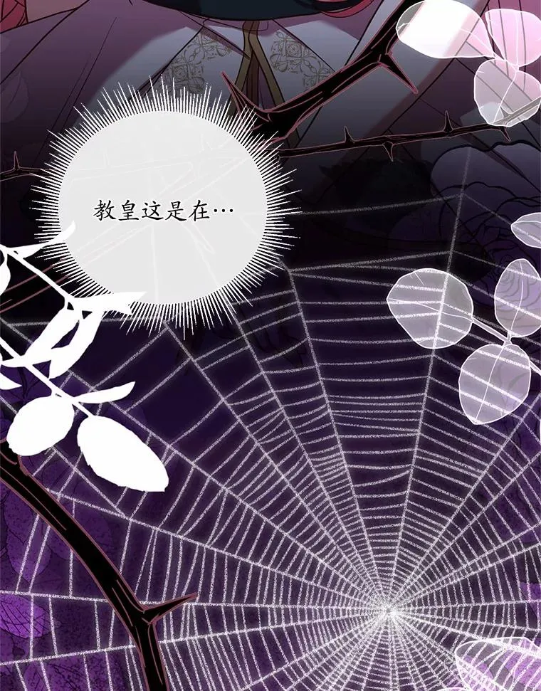 20.教皇登场 第58页