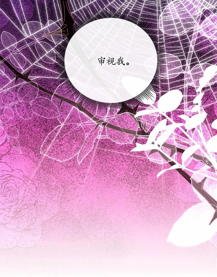20.教皇登场 第59页