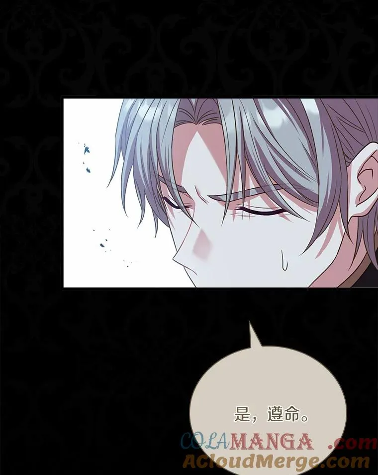 29.正式会面 第13页