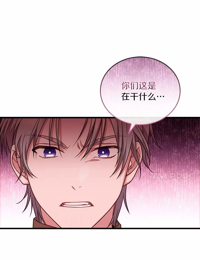 29.正式会面 第51页
