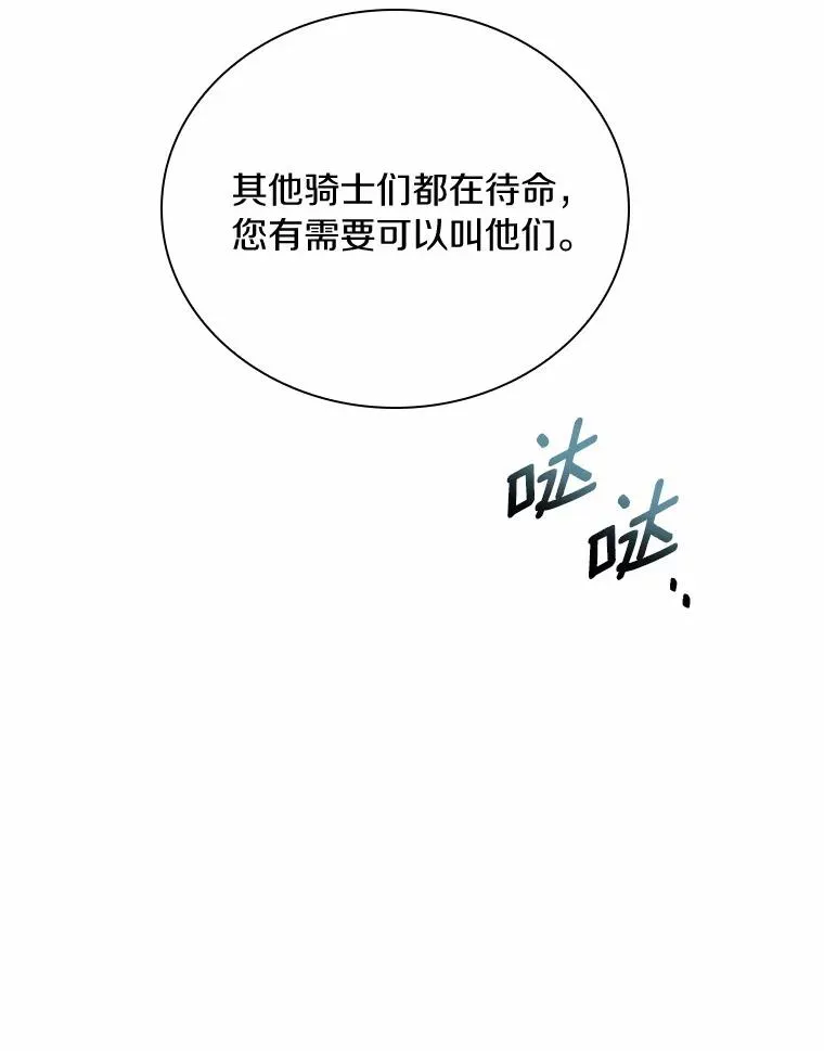 29.正式会面 第74页