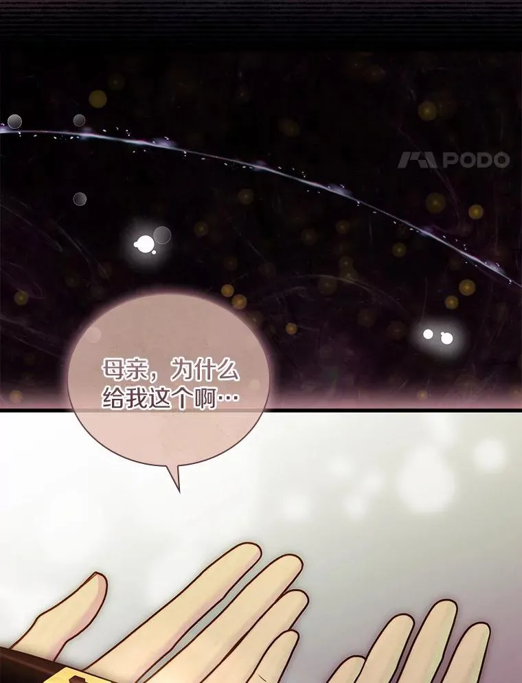 41.西亚的反击 第4页