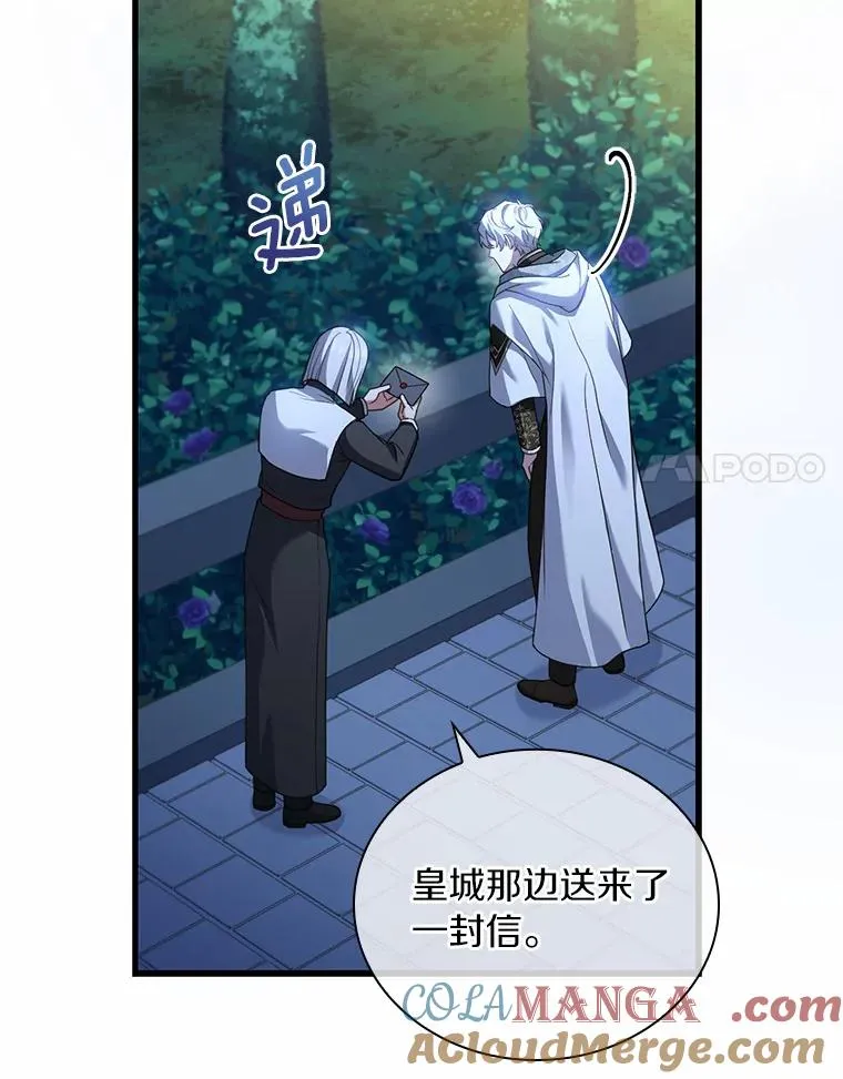 41.西亚的反击 第121页