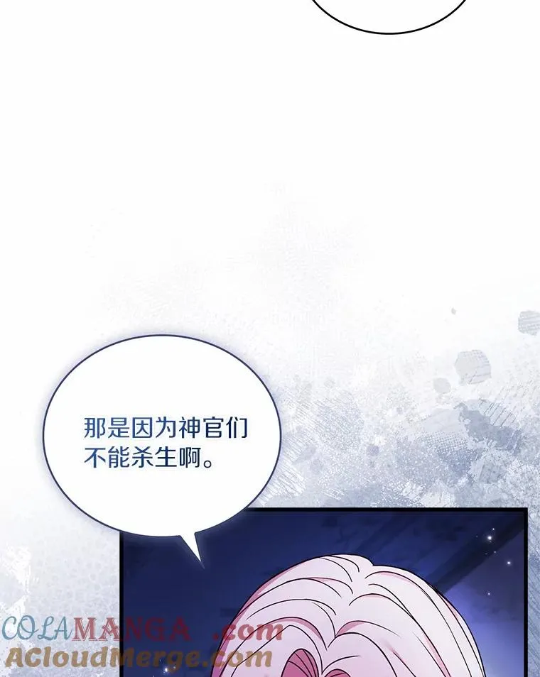63.教皇离开 第13页