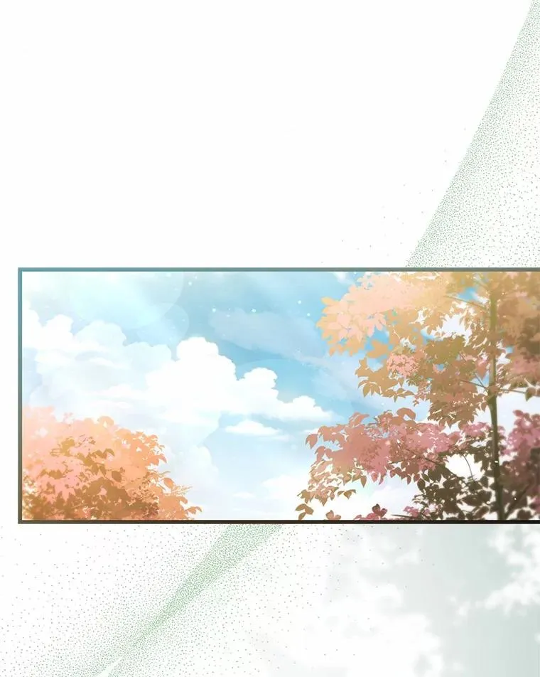 63.教皇离开 第114页