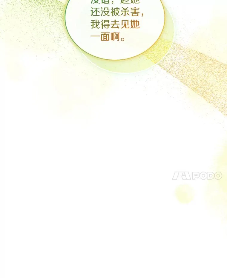 64.遭遇暗杀 第27页