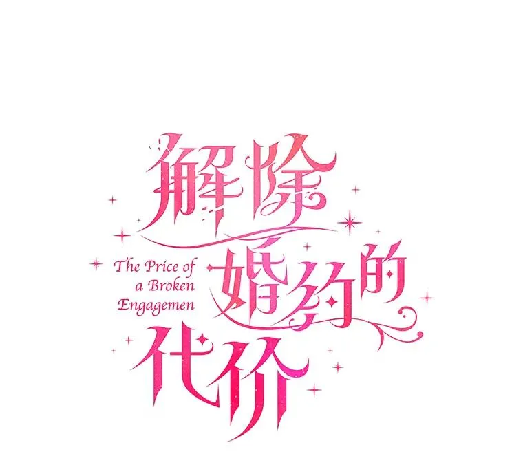 64.遭遇暗杀 第28页