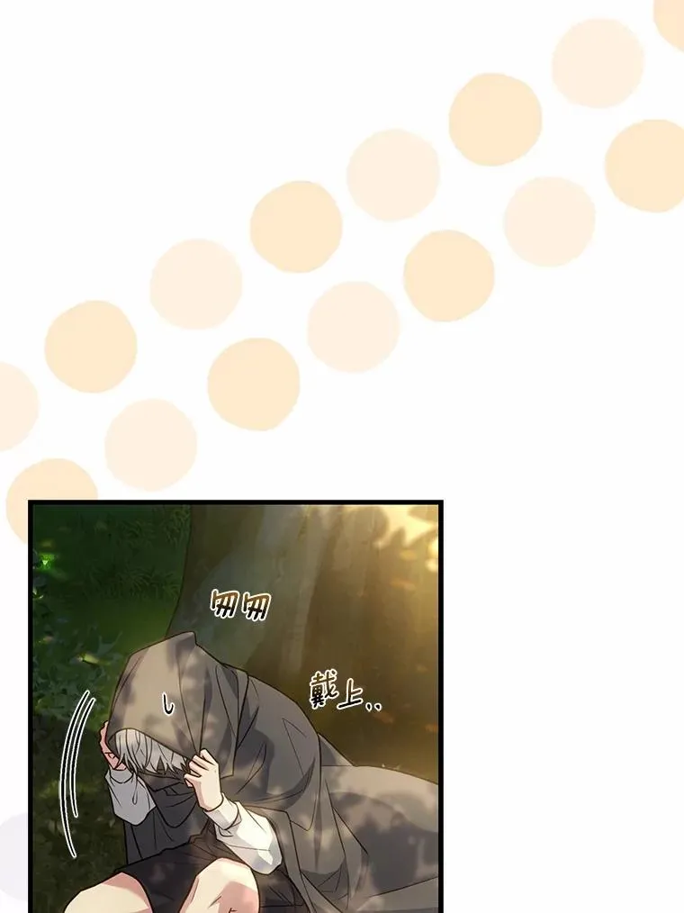 72.天选问询 第26页