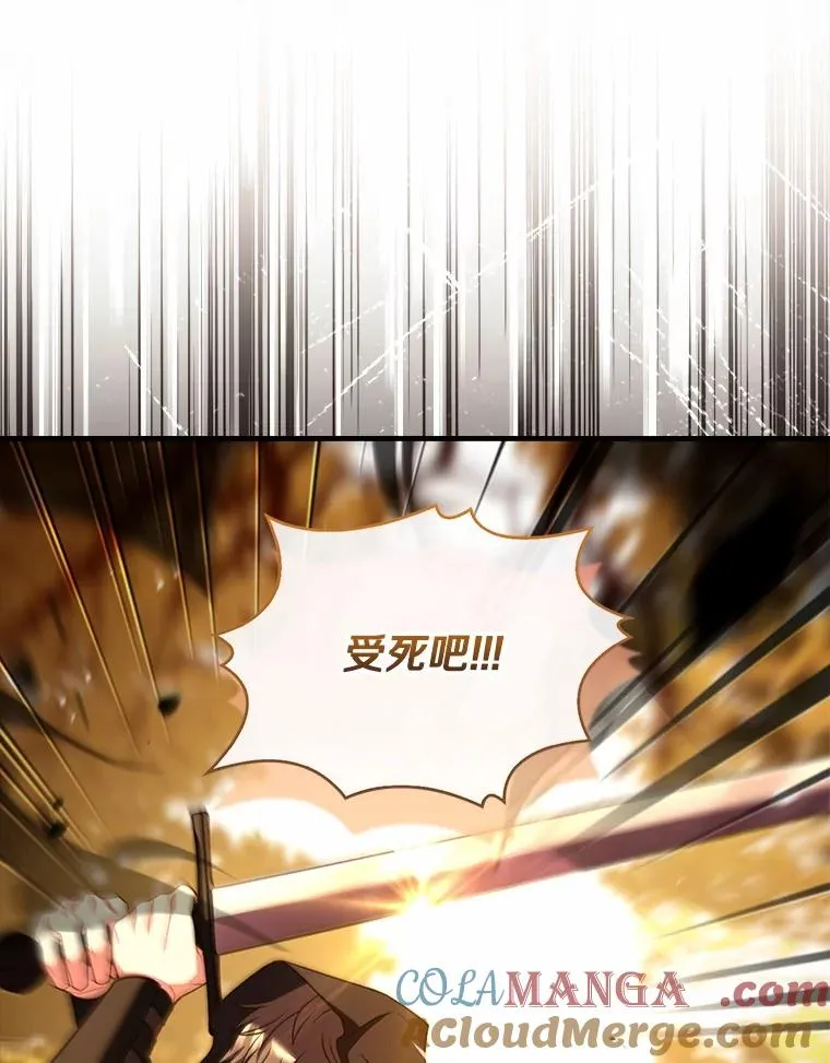 78.设局诈敌 第29页