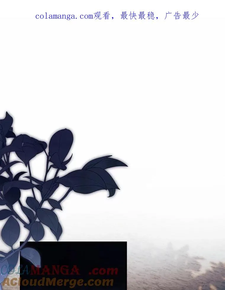 84.教皇露面 第1页