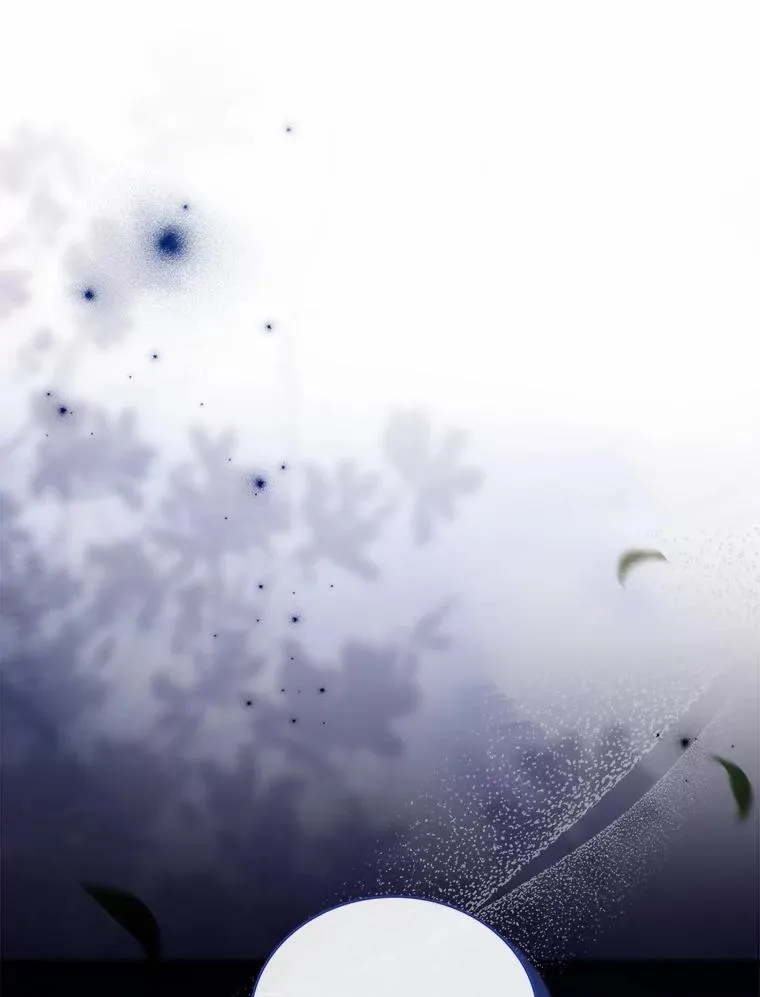 84.教皇露面 第16页