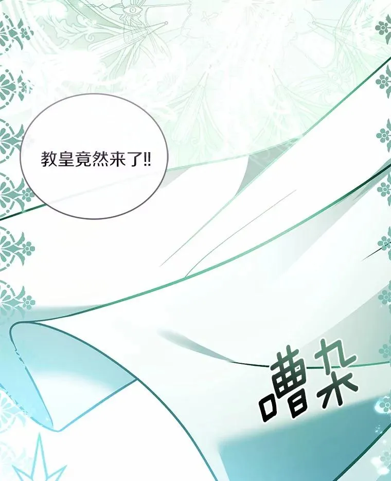 84.教皇露面 第26页