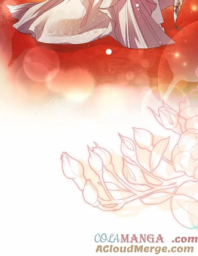 84.教皇露面 第41页