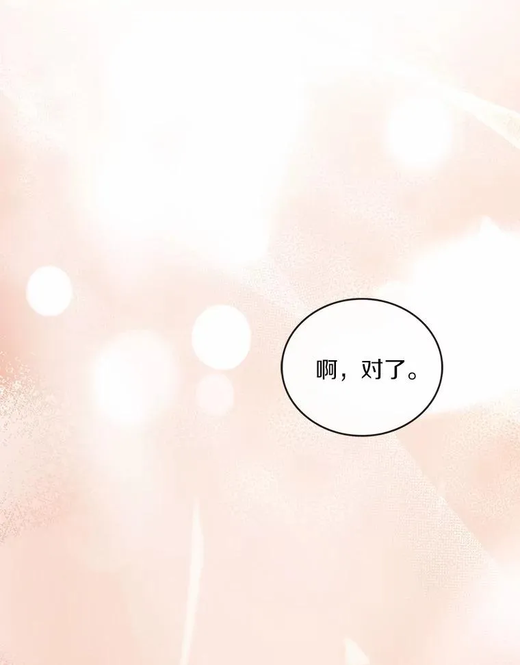 84.教皇露面 第132页