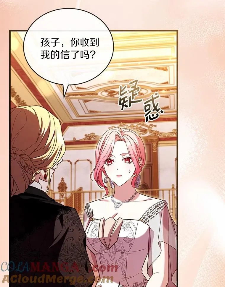 84.教皇露面 第133页