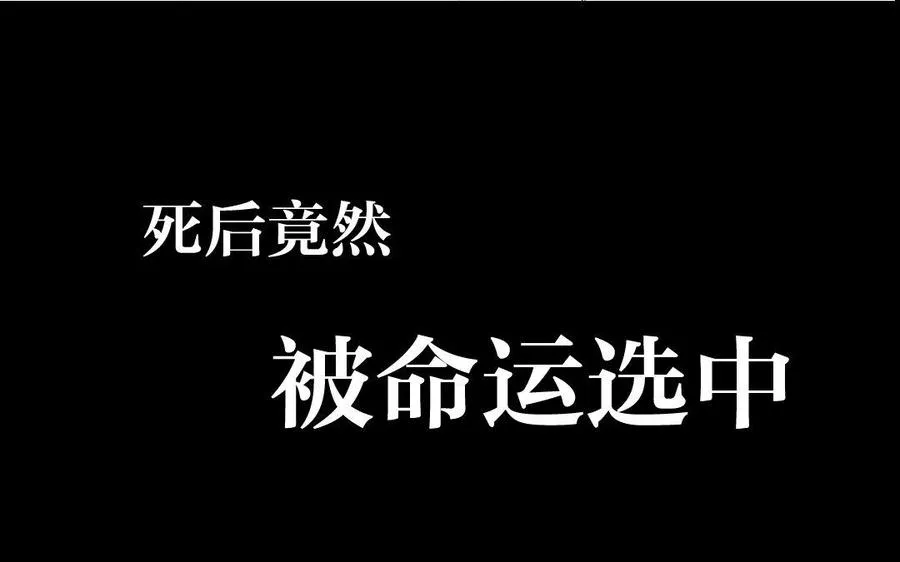 新作预告 第11页