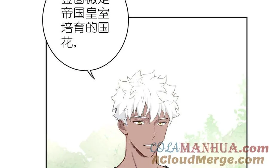 第8话 帝国的国花 第17页