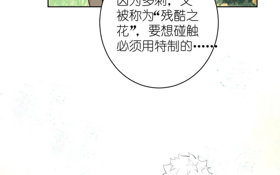 第8话 帝国的国花 第19页