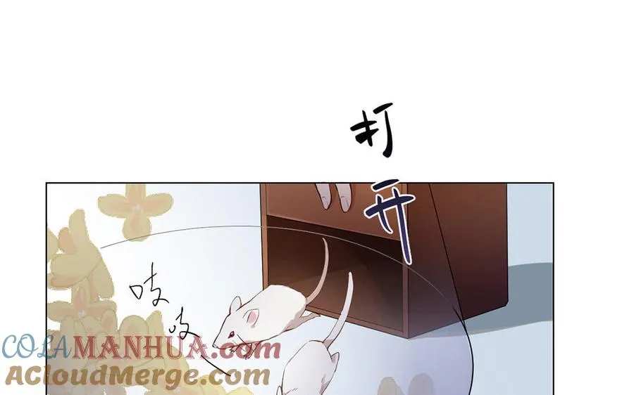 第40话 魔法后遗症 第37页
