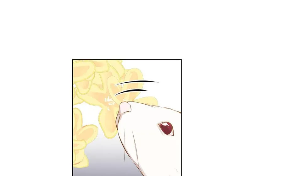 第40话 魔法后遗症 第40页
