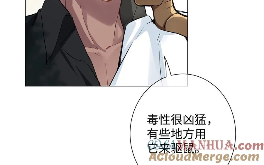 第52话 恶女对决 第97页