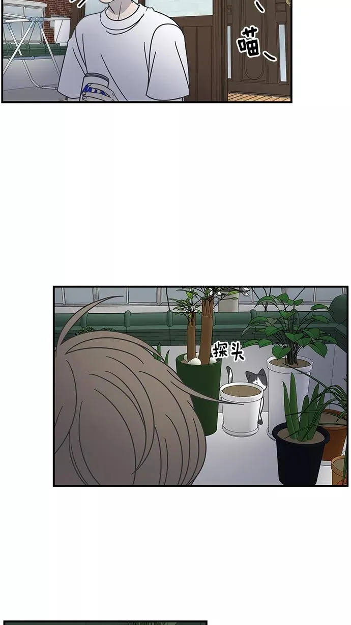 第54话 第18页