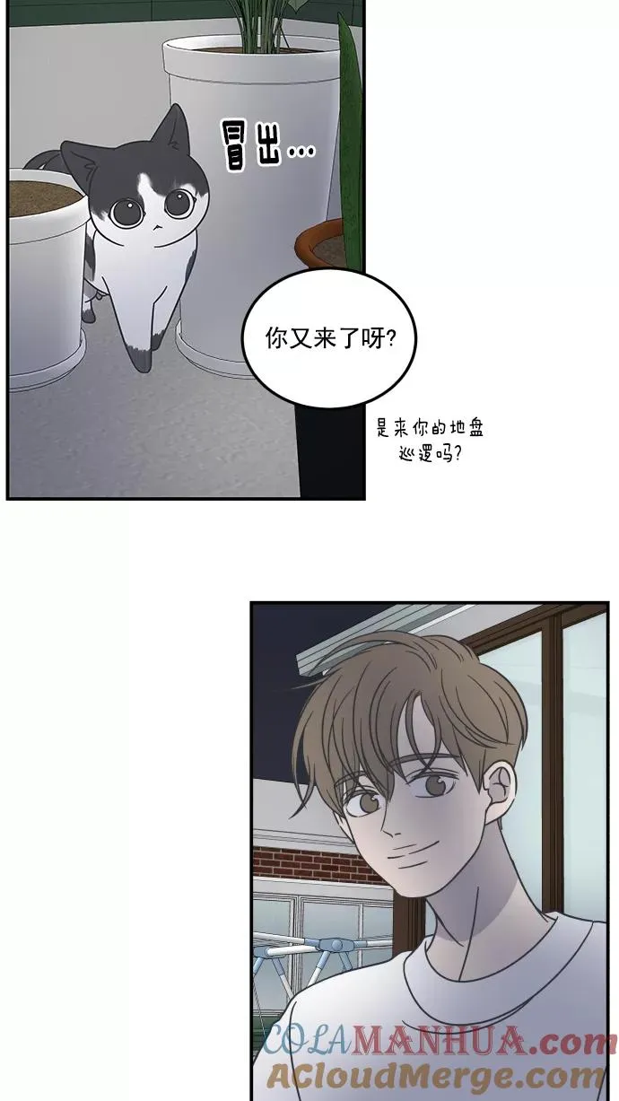 第54话 第19页